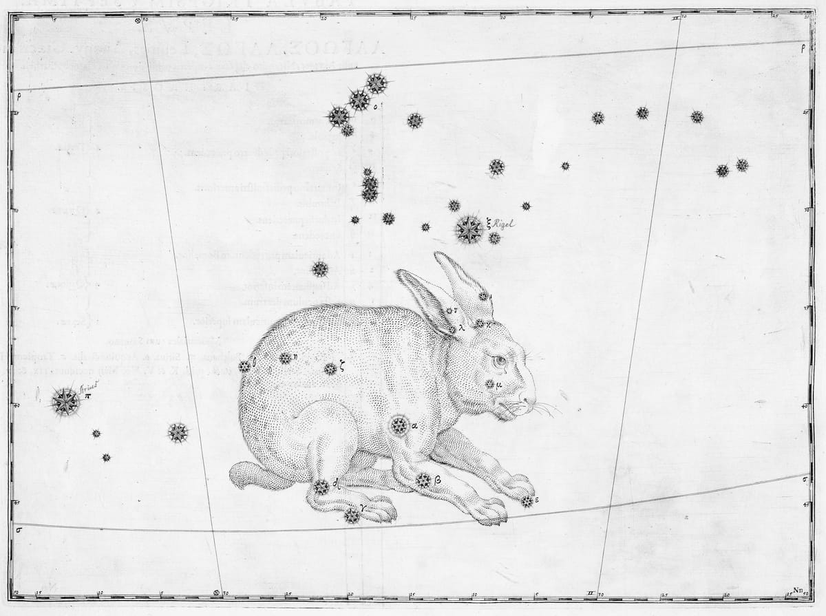 Darstellungdes Sternbilds Hase im Sternatlas von Johann Bayer