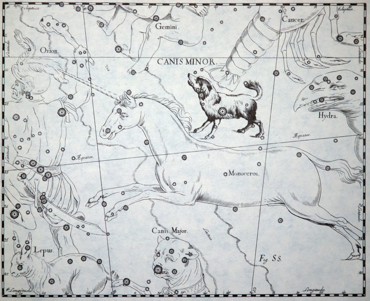 Das Sternbild Canis Minor im historischen Sternatlas von Johannes Hevelius