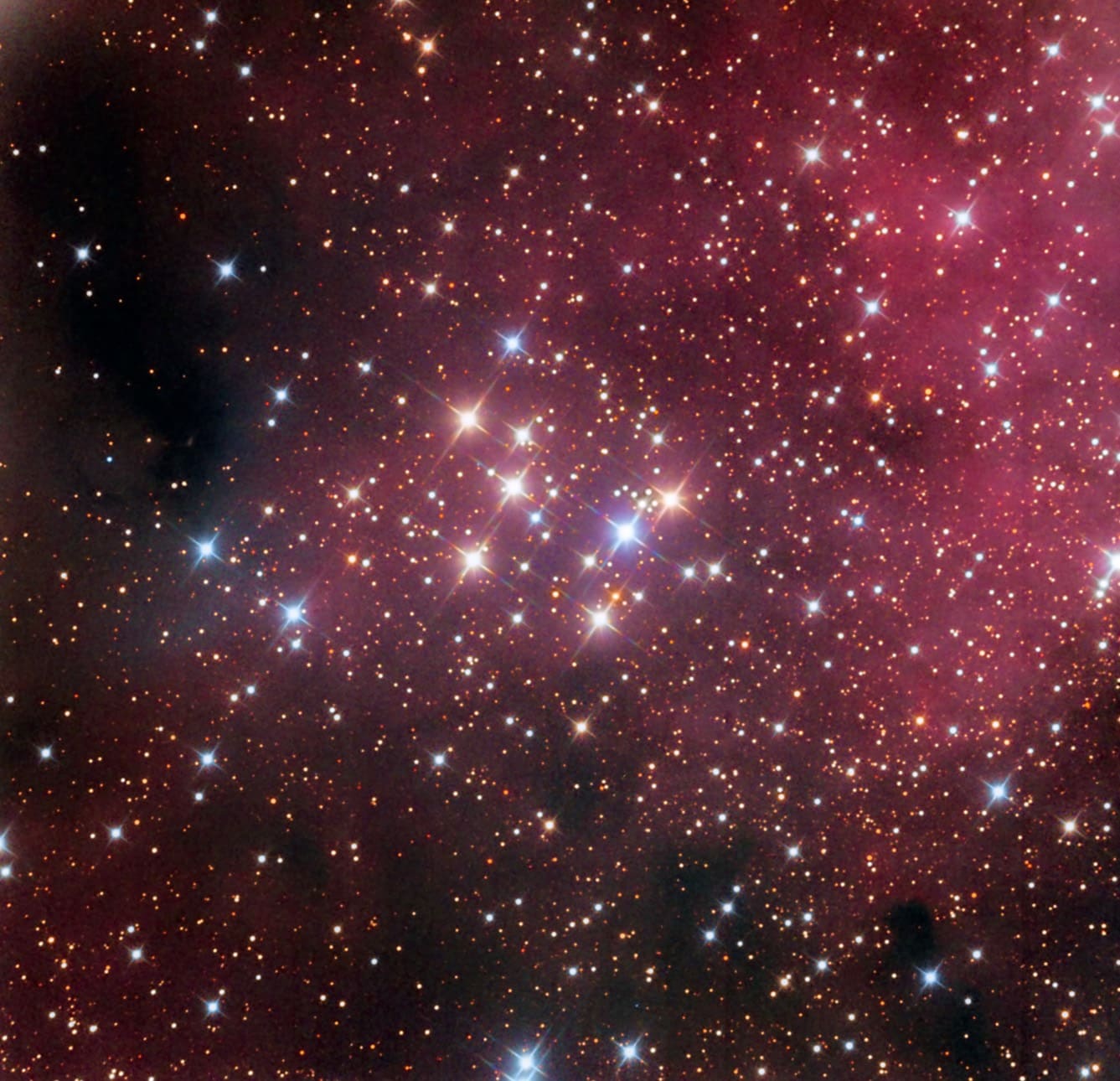 Rund ein Dutzend Sterne bilden den offenen Sternhaufen Messier 29; ihre Verteilung erinnert an die hellen Sterne der Plejaden
