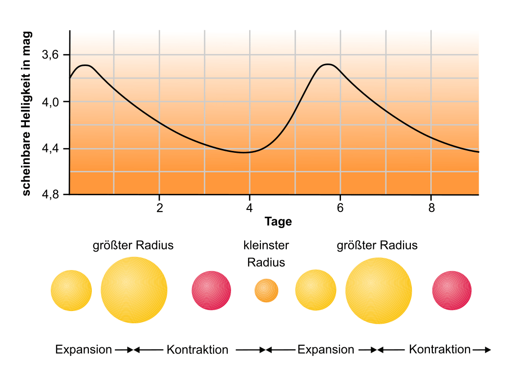 Helligkeit und Radius von Delta Cephei variieren regelmäßig