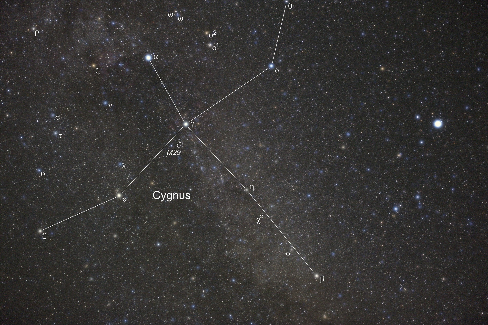 Der offene Sternhaufen M29 liegt knapp 2° südöstlich des Sterns Gamma Cygni