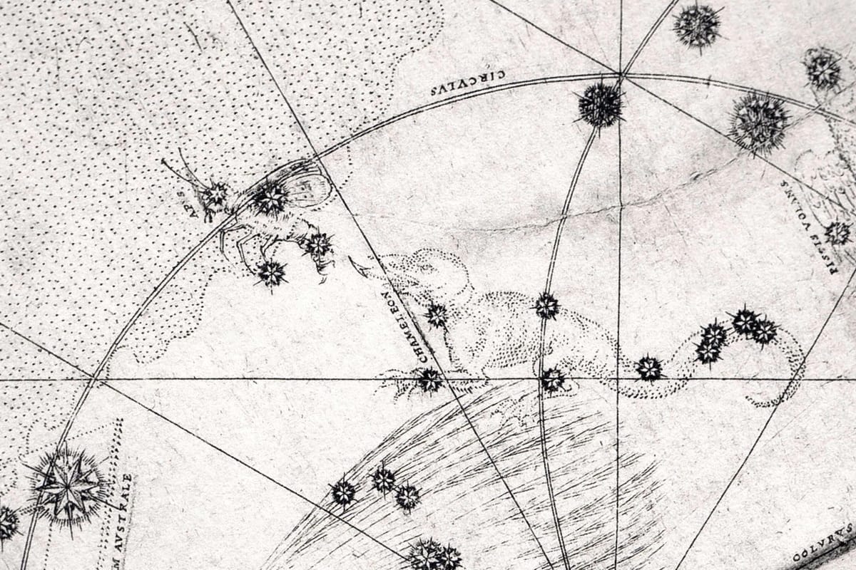 Sternbilder Chamäleon und Fliege (hier als Biene, lateinisch Apis bezeichnet) in der Uranometria des Johann Bayer