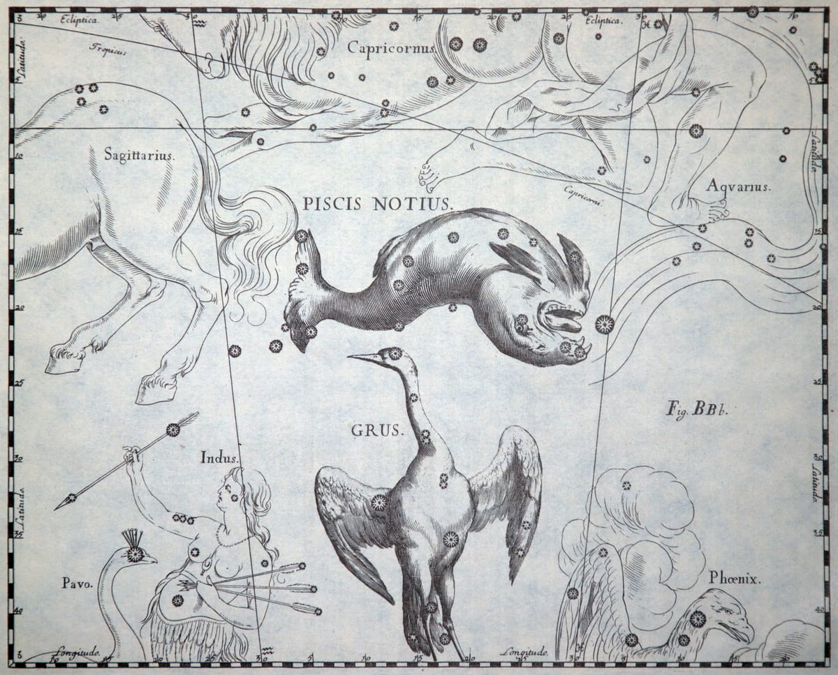 Der Südliche Fisch (hier: Piscis Notius) befindet sich südlich der Tierkreissternbilder Wassermann und Steinbock