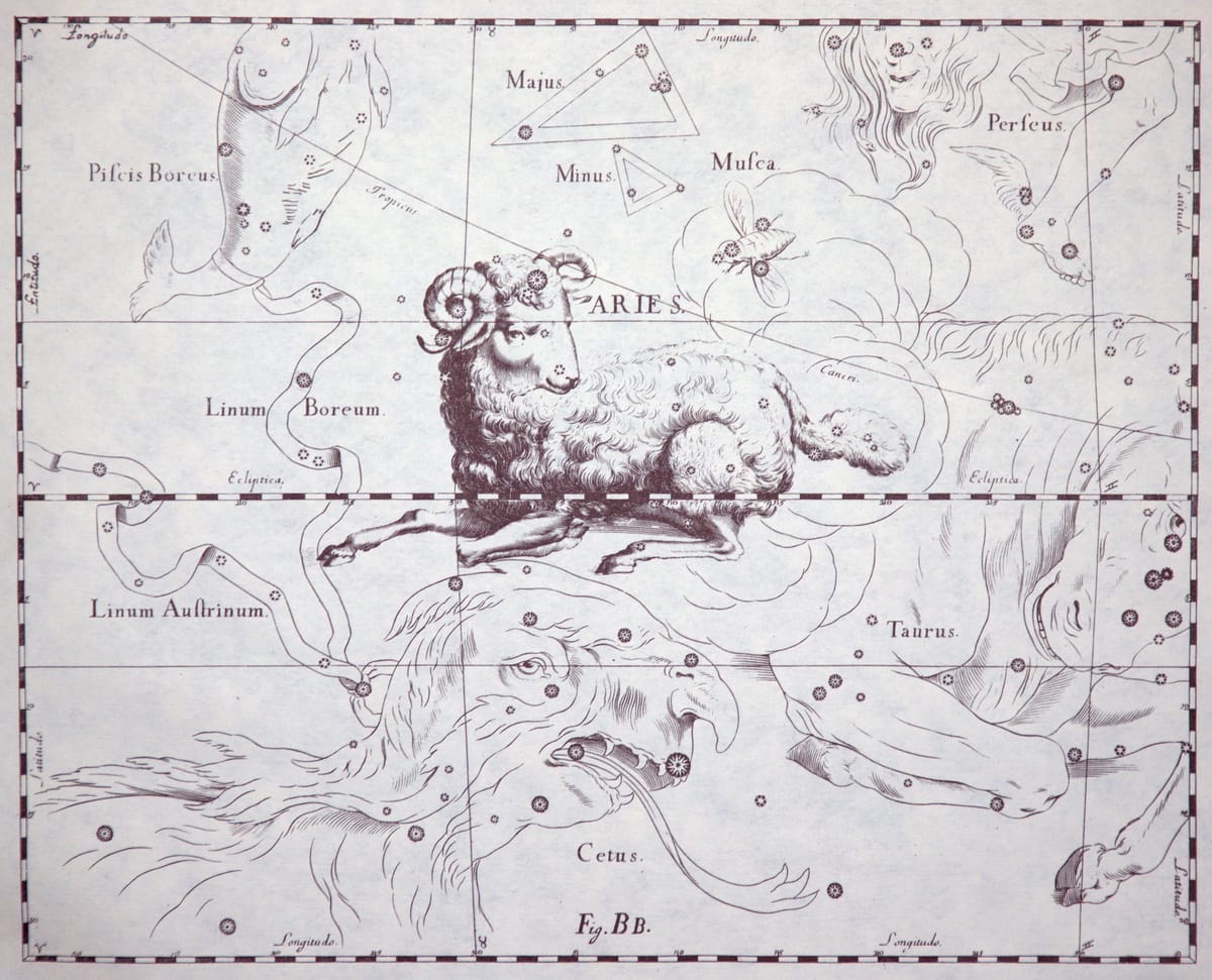 Ein liegendes männliches Schaf zeichnete der Astronom Johannes Hevelius als Sternbild Widder.