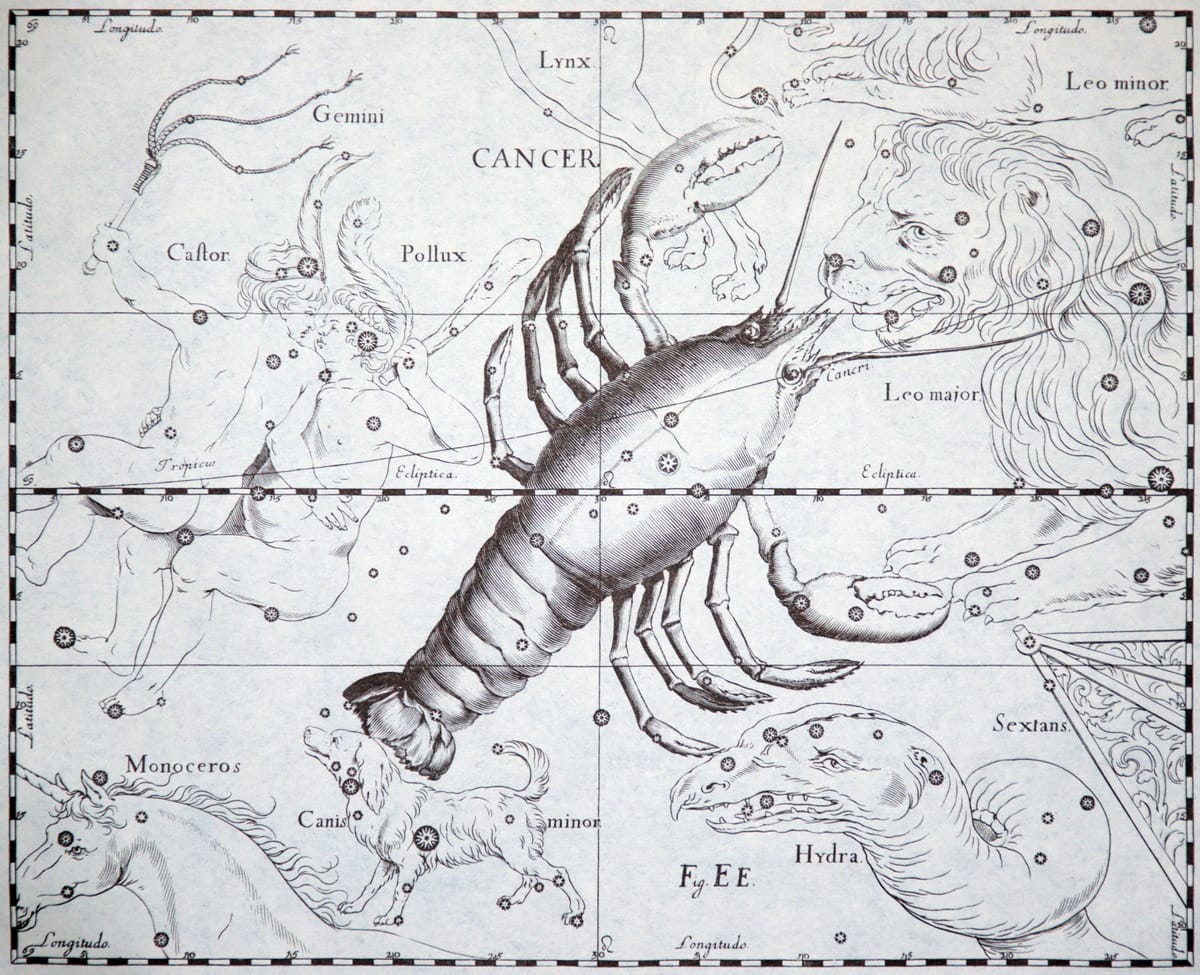 Figürliche Darstellung des Sternbilds Cancer (Krebs) im Atlas des Johannes Hevelius