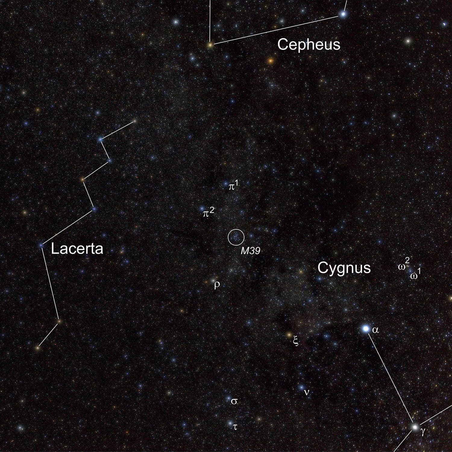 Der offene Sternhaufen M39 liegt im nordöstlichen Bereich des Sternbilds Schwan (Cygnus) im Band der Milchstraße