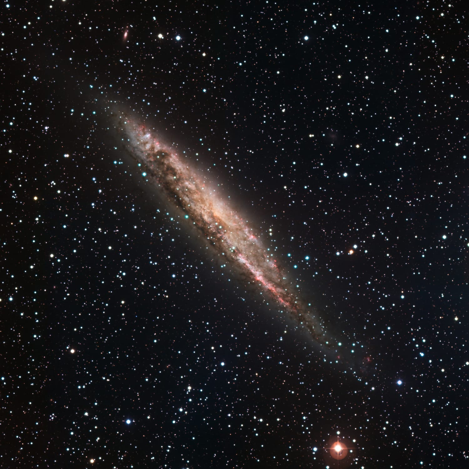 Die Spiralgalaxie NGC 4945 erscheint spindelförmig, weil wir sie von der Kante sehen