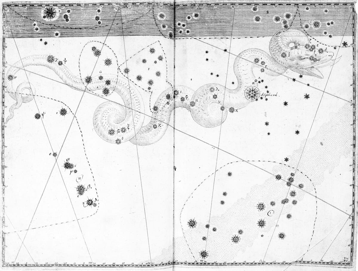 Darstellung des Sternbilds Wasserschlange im Sternatlas von Johann Bayer