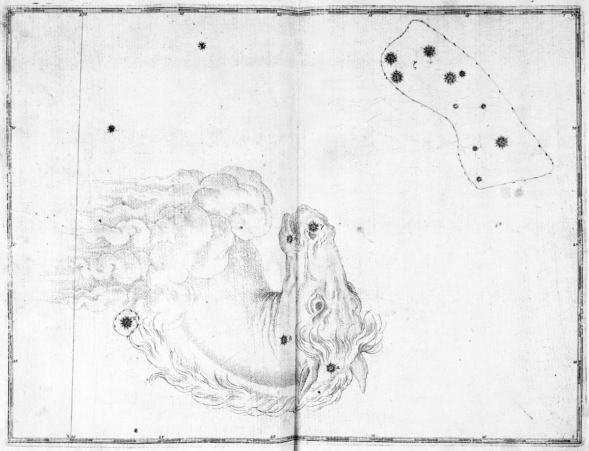 Darstellung des Sternbilds Füllen im Sternatlas von Johann Bayer