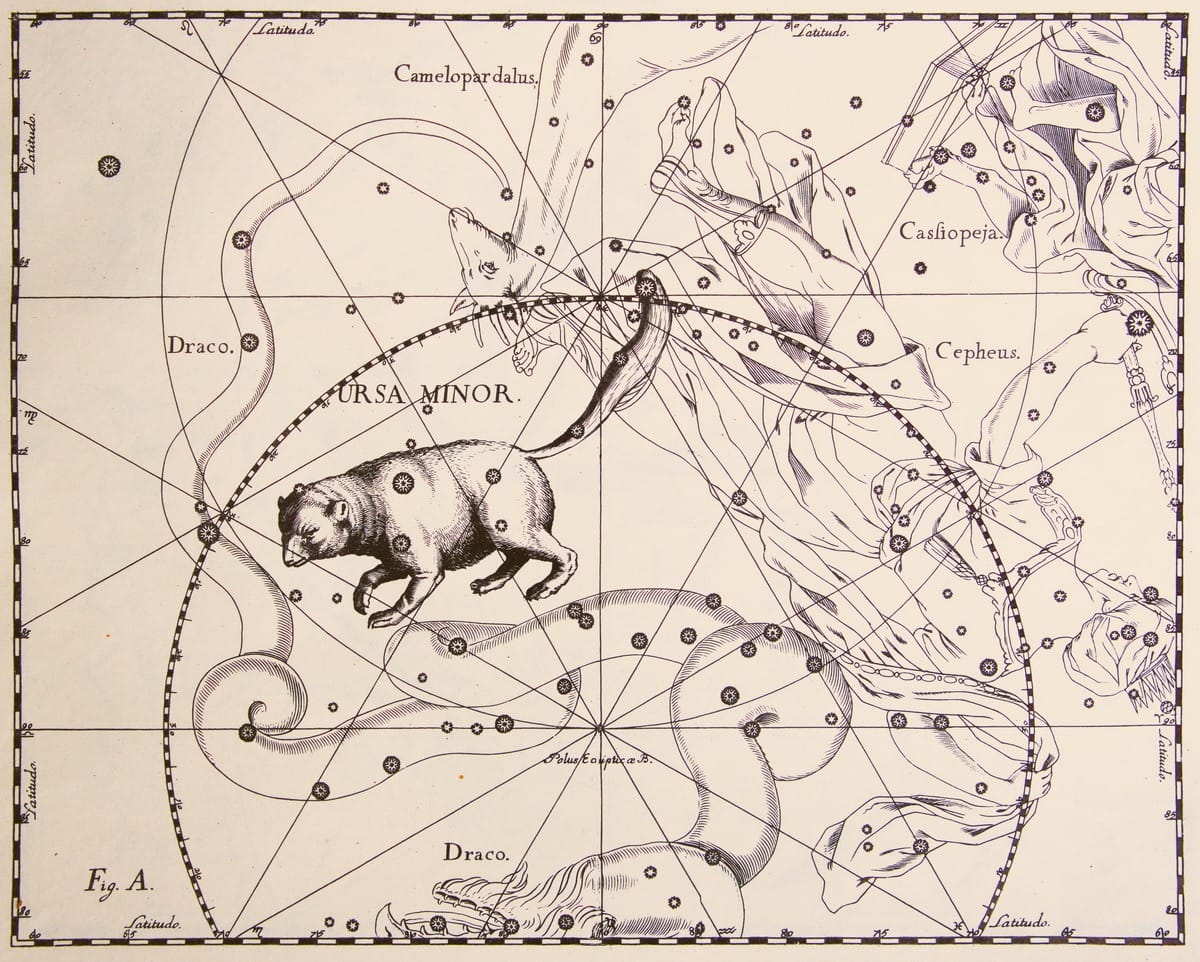 Kartenblatt aus dem Sternatlas von Johannes Hevelius mit dem Sternbild Kleiner Bär