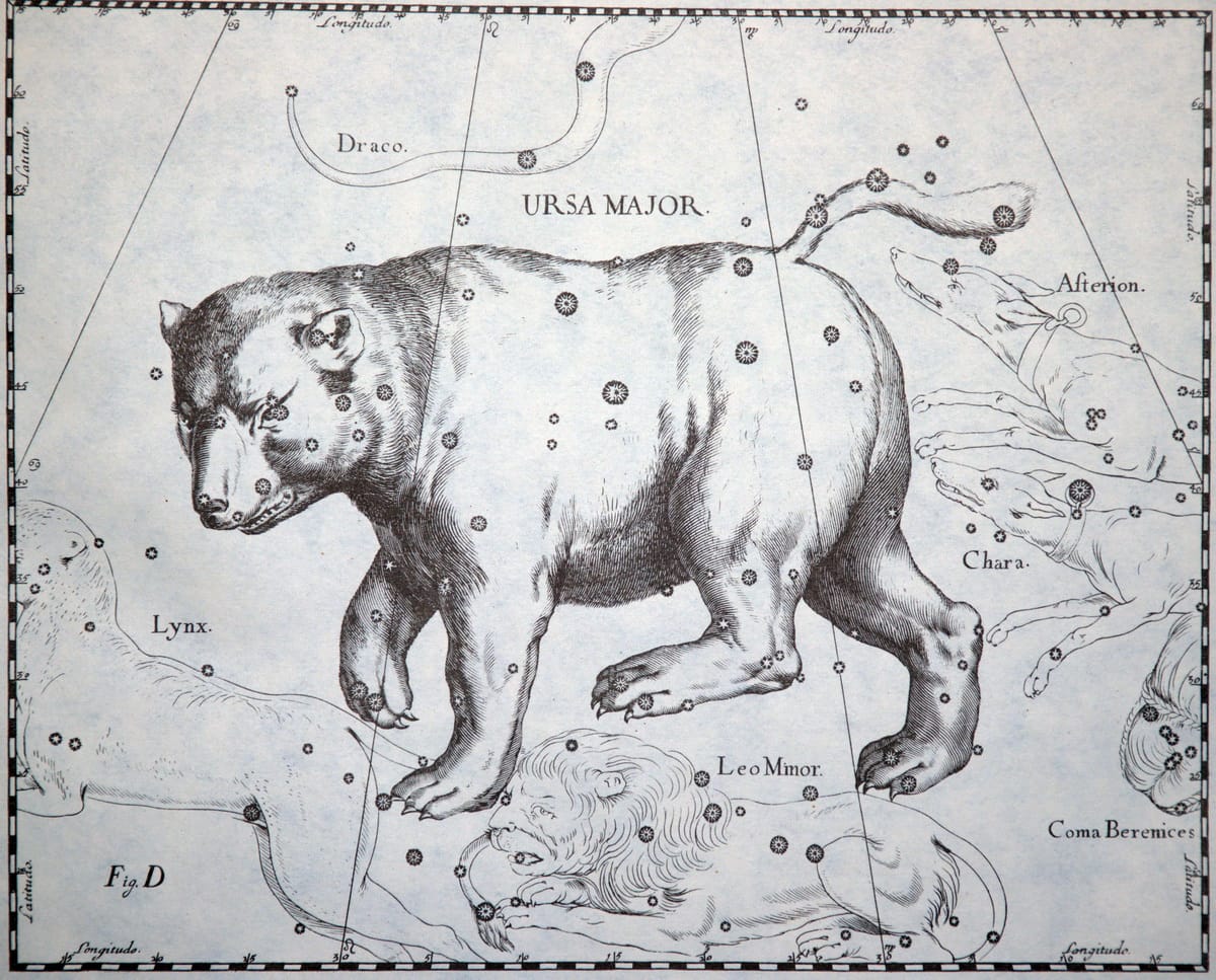 Das Sternbild Großer Bär im historischen Sternatlas von Johannes Hevelius.