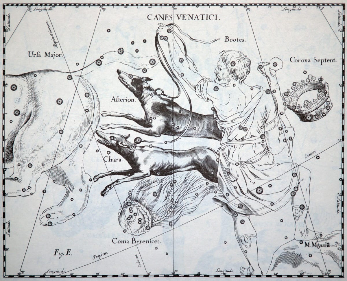 Das Sternbild Jagdhunde im historischen Sternatlas von Johannes Hevelius.