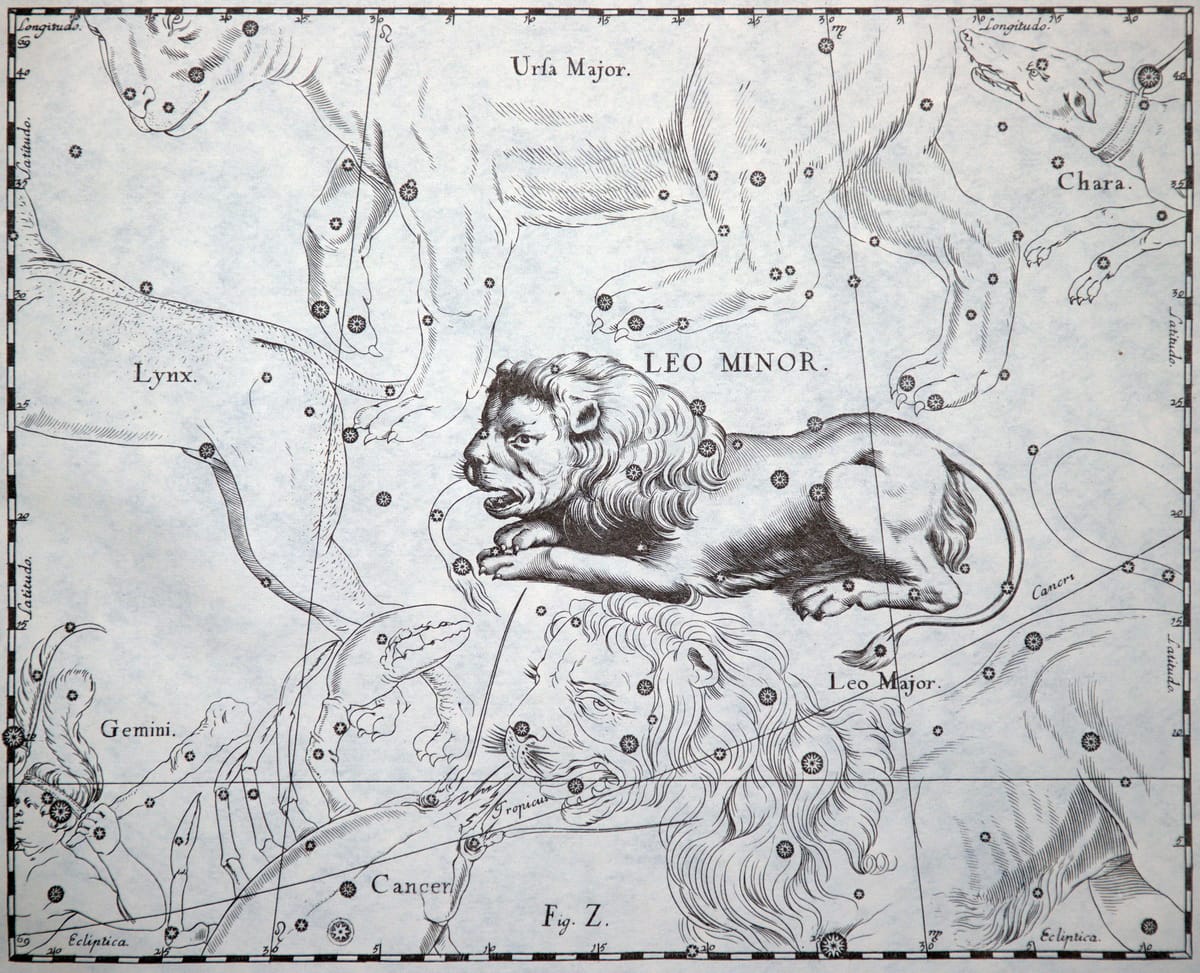 Das Sternbild Kleiner Löwe im historischen Sternatlas von Johannes Hevelius