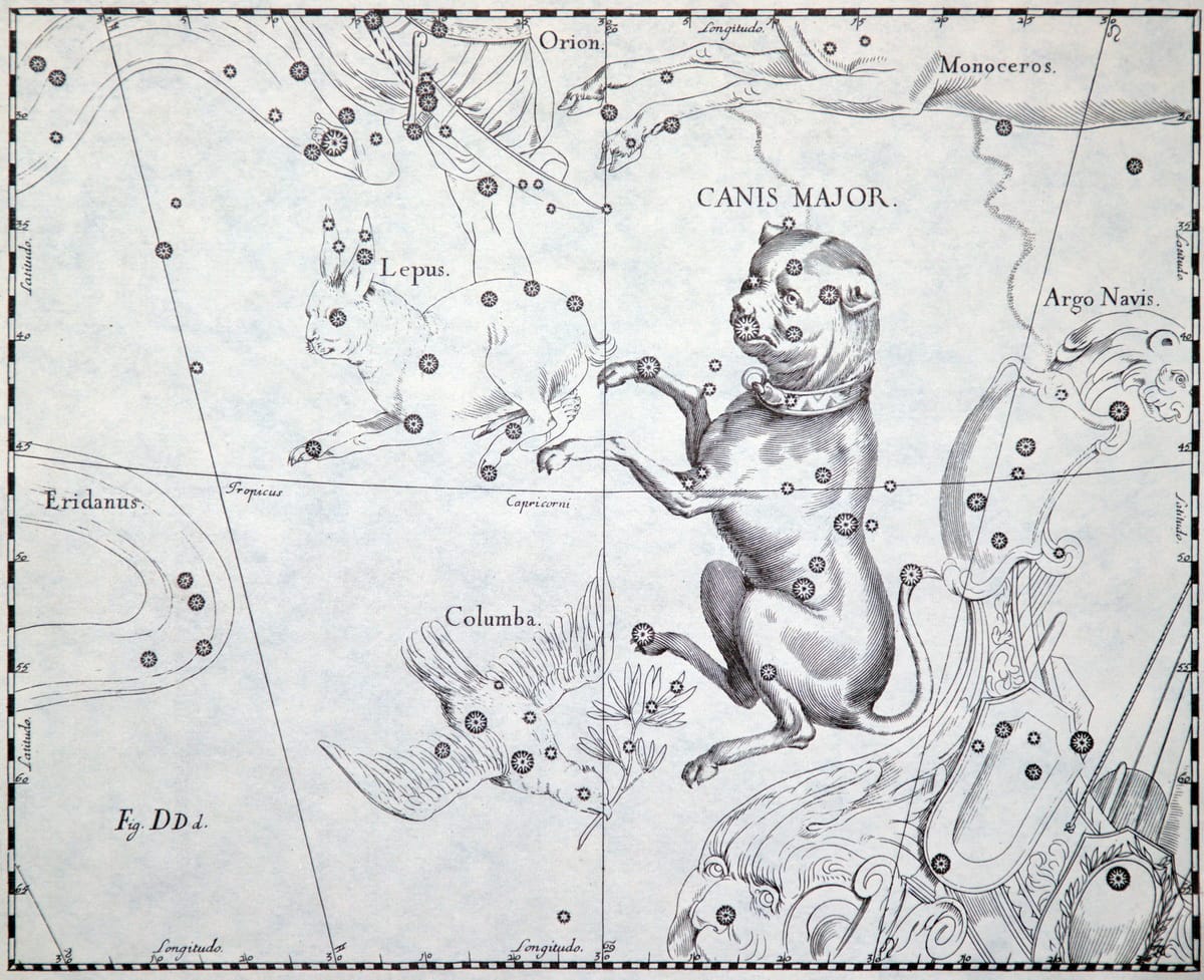 Das Sternbild Großer Hund in einem historischen Sternatlas