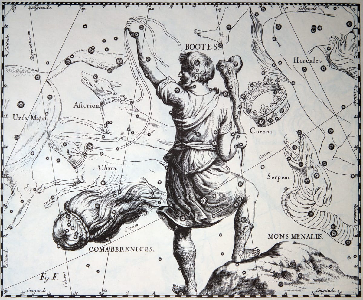 Das Sternbild Bärenhüter (Bootes) im historischen Sternatlas von Johannes Hevelius.