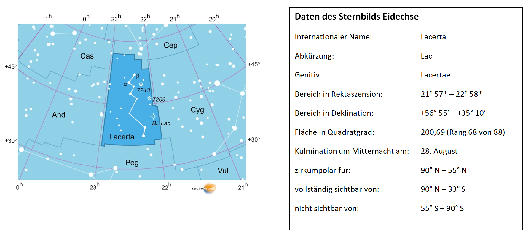 Links zeigt eine mit Koordinaten versehene Karte eines Himmelsausschnitts weiße Sterne auf hellblauem Hintergrund. Die Fläche, die das Sternbild Eidechse einnimmt, ist dunkelblau hervorgehoben. Eine Tabelle rechts gibt wichtige Daten des Sternbilds Eidechse an.