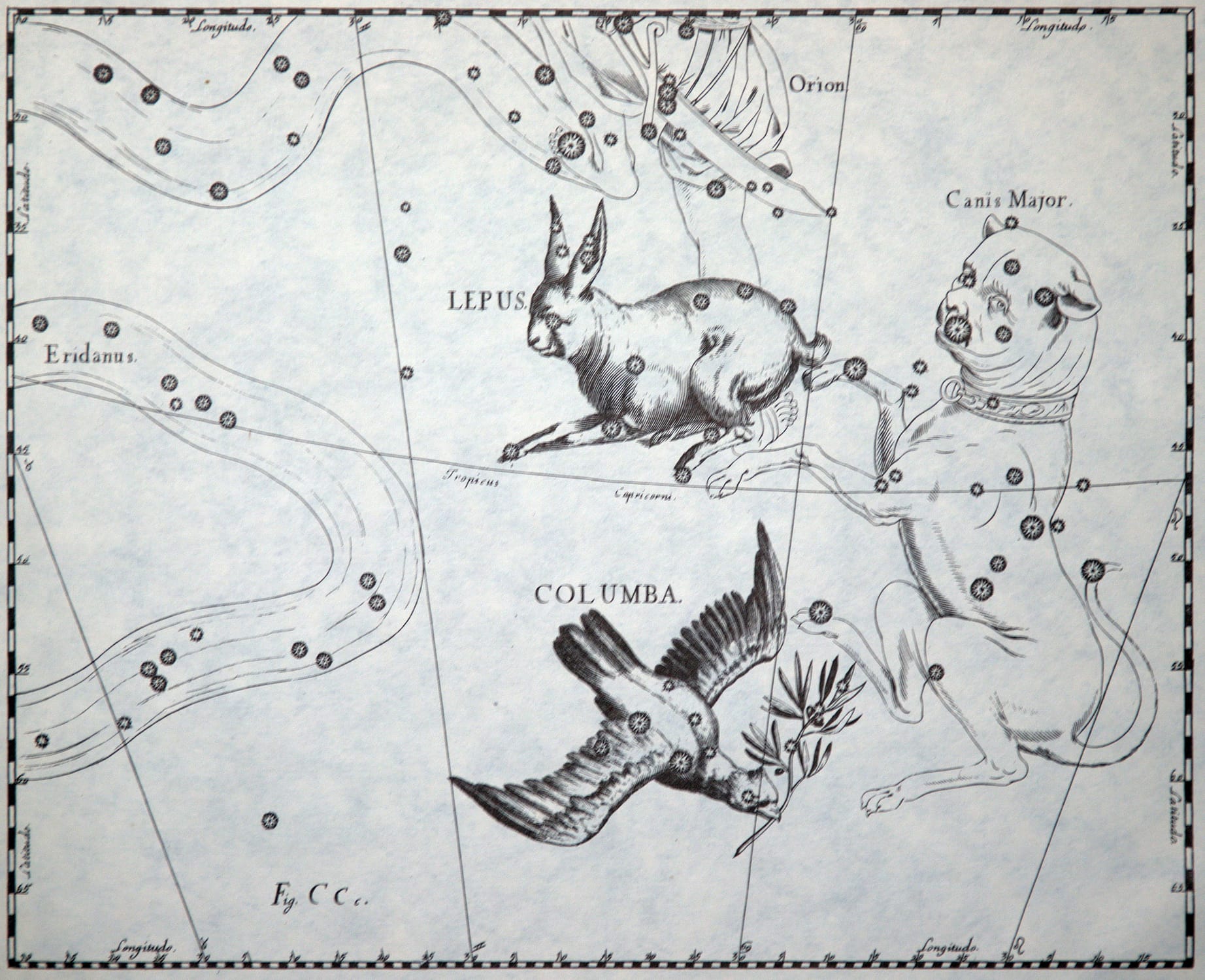Die Sternbilder Hase (Lepus) und Taube (Columba) in dem historischen Sternatlas von Johannes Hevelius