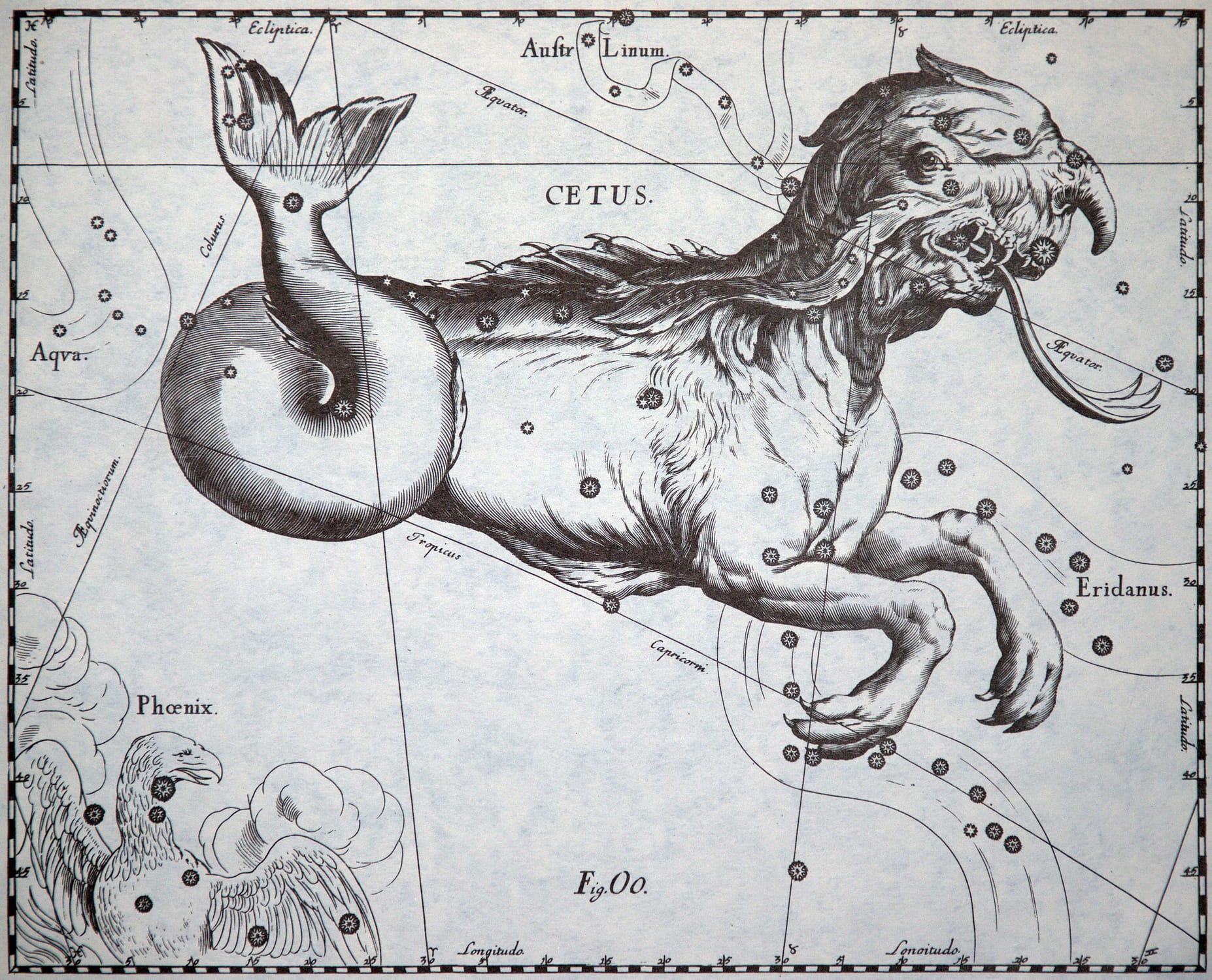 In dem Sternbild Walfisch wurde seit der Antike eine Meeresungeheuer gesehen, das in Sternatlanten als Mischung verschiedener Fabelwesen dargestellt wurde - hier mit Drachenkopf, krallenbewehrten Vorderpfoten und einem schlagkräftigen Fischschwanz.