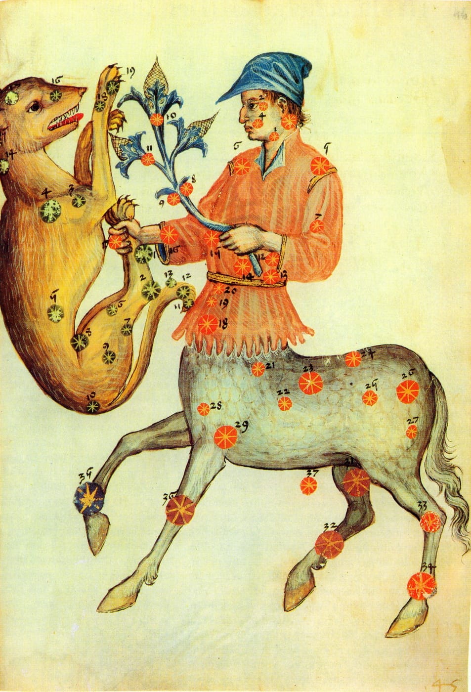 Der Kentaur hält mit seiner rechten Hand ein wildes Tier an dessen Hinterläufen, in seiner linken Hand eine Weinrebe. Mittelalterliche Illustration nach einer Beschreibung des Astronomen as-Sufi